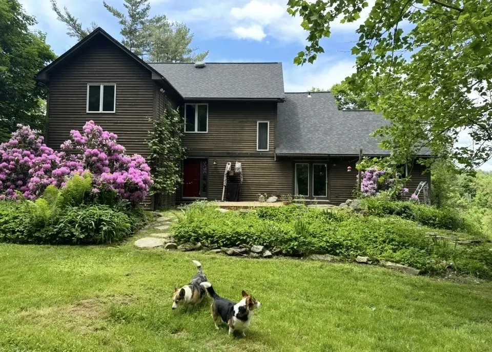 The Petersburg, New York homestead in late spring, with rhododendrons in bloom and two corgis on the lawn.